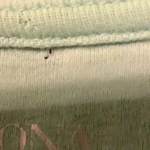 Merona Ultimate T-Shirt Women's Medium Short Sleeves Top - Picture 6 of 6